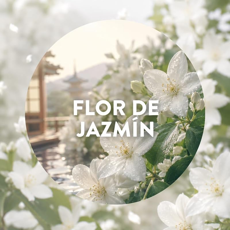 Active Fresh Spray Automatico Sin Aerosol - 2 Recambios de ambientador para casa con Flor de Jazmín, 2 veces más aceites esenciales
