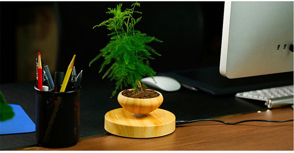 Magnetic Levitation Air Bonsai