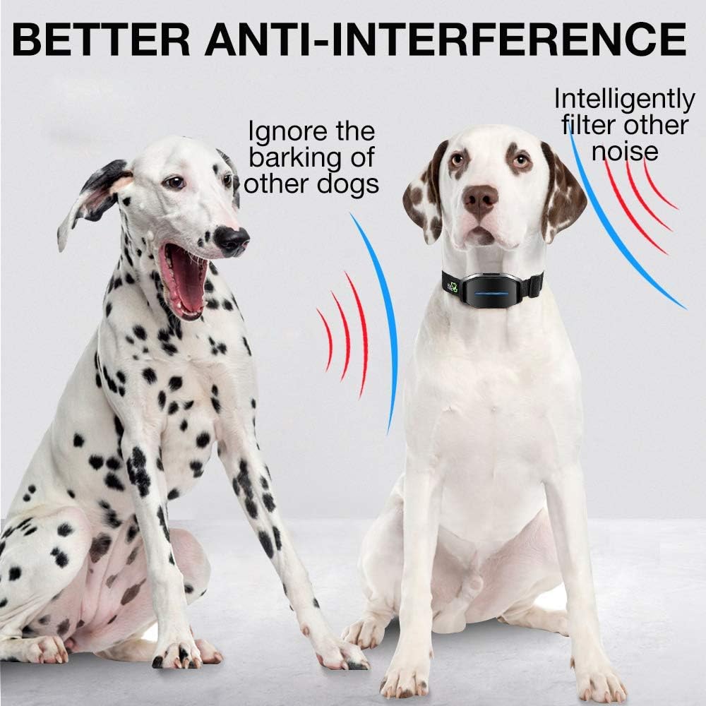 DOG CARE Automatic Bark Collar-Comfortable Dog bark Collar, Easy to use with beep, Vibration & Shock Modes, Very Effective and Humane Dog Shock Collar with 5 Adjustable Sensitivity Levels, No Remote : Kitchen & Dining