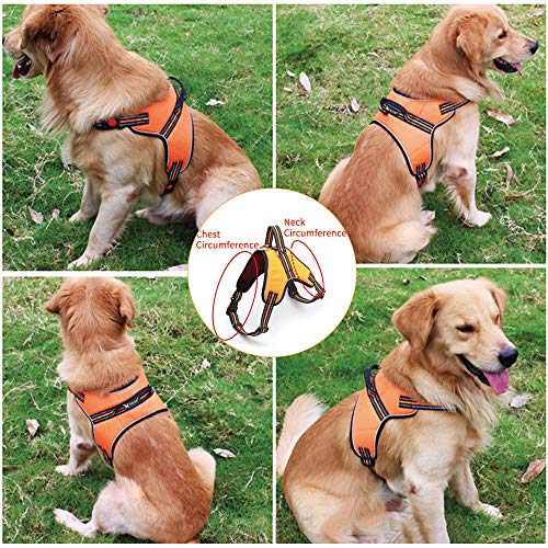 baobë Adjustable Outdoor Pet Vest Light Weight Dog Harness Dogs Leash Set with Reflective Oxford Material for Large Medium Dogs Outdoor Training Walking