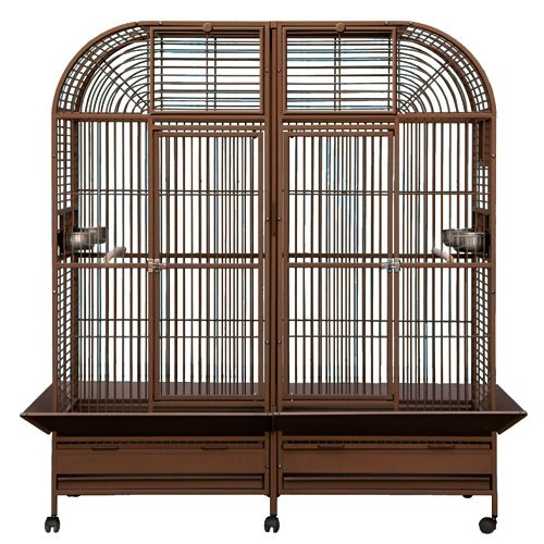 King’s Cages Superior Line SLT 6432 Parrot CAGE 64X32X70 Extra Large Bird Cage Toy Toys Macaws,Cockatoos (COPPERTONE)