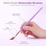 Nicpro 10Pcs Watercolor Brushes Set Cat Tongue Liner Dagger Wash with Holder view 3