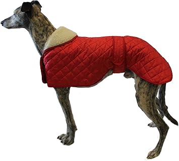 cosipet whippet coat