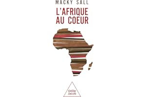 L' Afrique au cœur (French Edition)