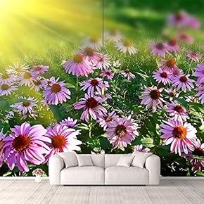 Wall Murals for Bedroom Fantasy View Mystery Collage Removable Wallpaper Peel and Stick Wall Stickers - 66x96 inches