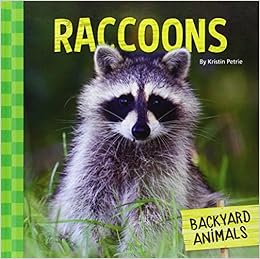 Raccoons Backyard Animals Kristin Petrie 9781624036620 Amazon
