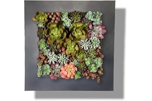 VANDUE Modern Home Living Wall Galvanized Steel/Zinc Succulent Planter, Wall Mounted Garden Pocket Planter (16 Pocket, Black Zinc)