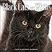 2019 Black Cats on White Calendar