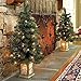 4 Ft Pre-Lit Entryway Christmas Trees - Set of 2 - By Improvements