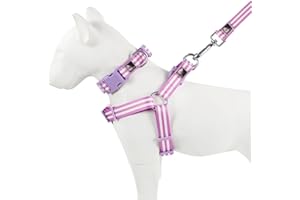 Tiffpaws Striped Dog Harness Collar and Leash Set, Polyester Webbing Dog Collar Easy Walking and Training Dog Harness and Leash 3-in-1 Suit Adjustable Dog Harness Collar Leash Set for Dogs(Purple, S)