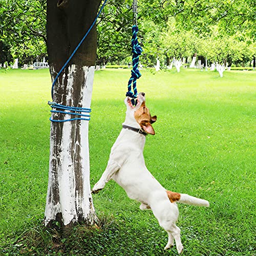 outdoor tether for dogs
