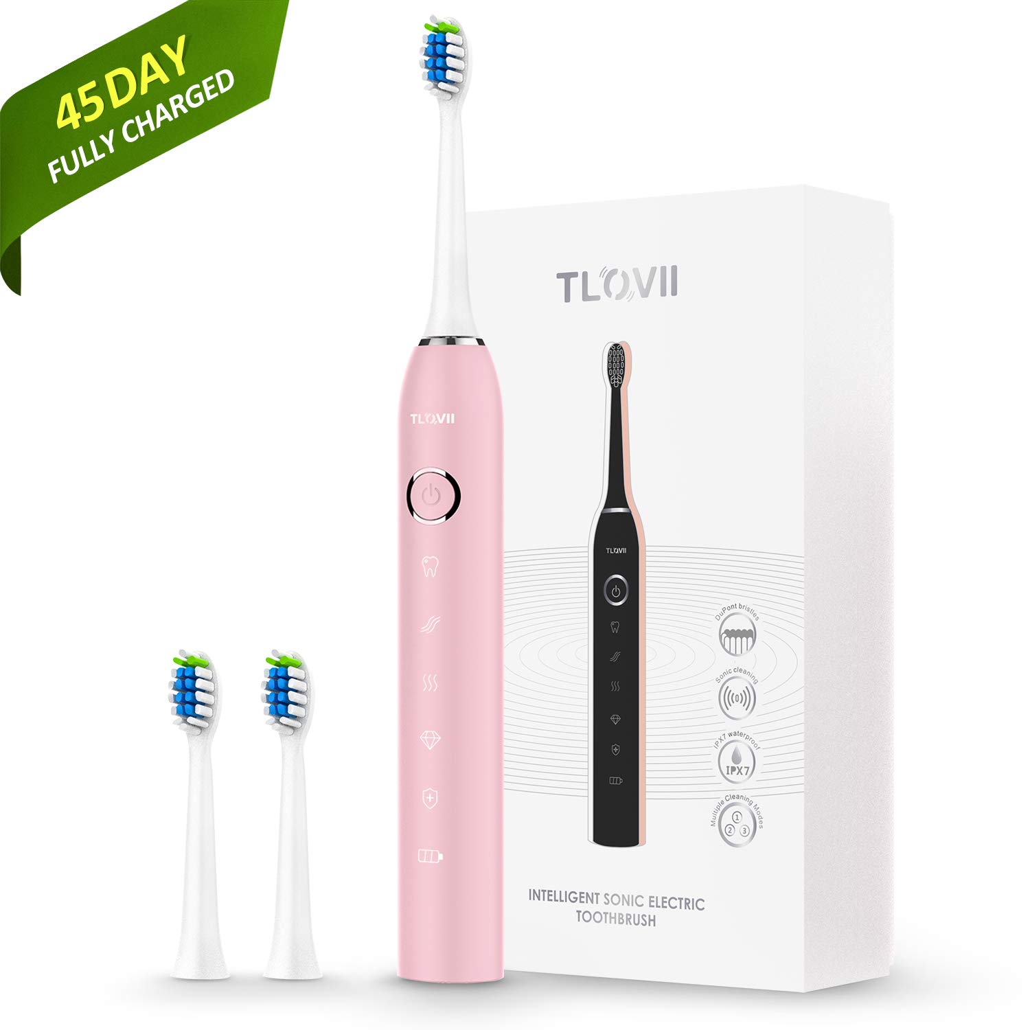 Sonic Electric Toothbrush for Adults, USB Magnetic Rechargeable Toothbrush,Fast Charging Least 45 Days Battery Life,Smart Timer 5 Modes 2 Replacement Heads, IPX7 Waterproof Pink Toothbrush