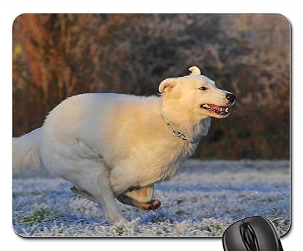 Yanteng Tapis De Souris Chien De Berger Suisse Race De