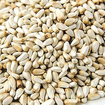 The Muster Pet Zone Saffola Seeds for Bird