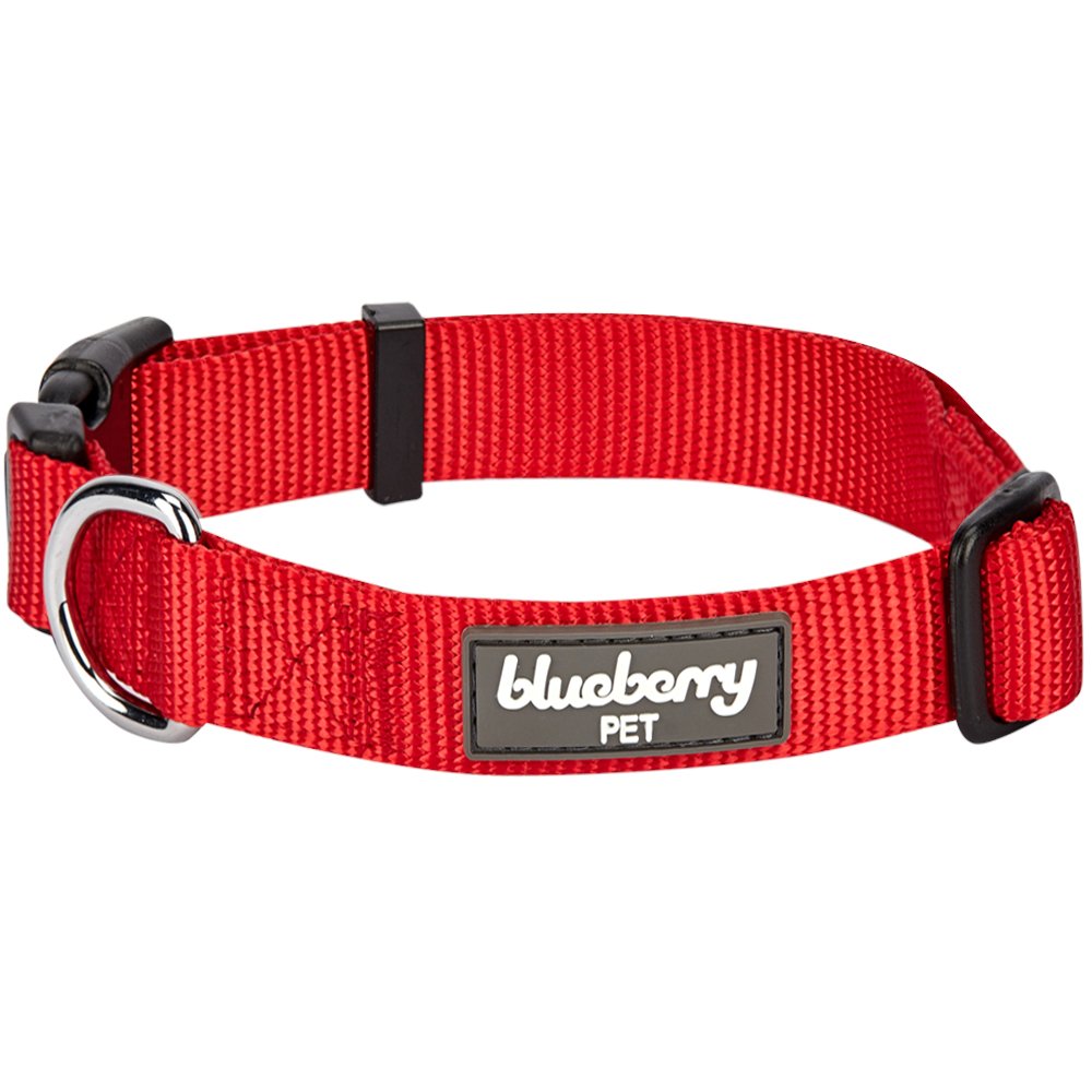 Blueberry pet classic solid dog collar Clearance