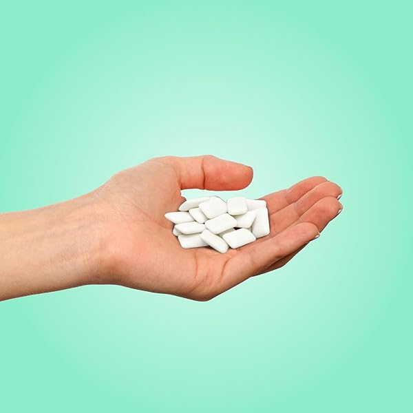 PUR GUM | ASPARTAME FREE CHEWING GUM | 100% XYLITOL | NATURAL CHOCOLATE MINT FLAVORED GUM, 55 PIECES (PACK OF 1)