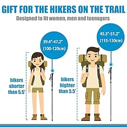 Collapsible Walking Stick for Travel, Adjustable