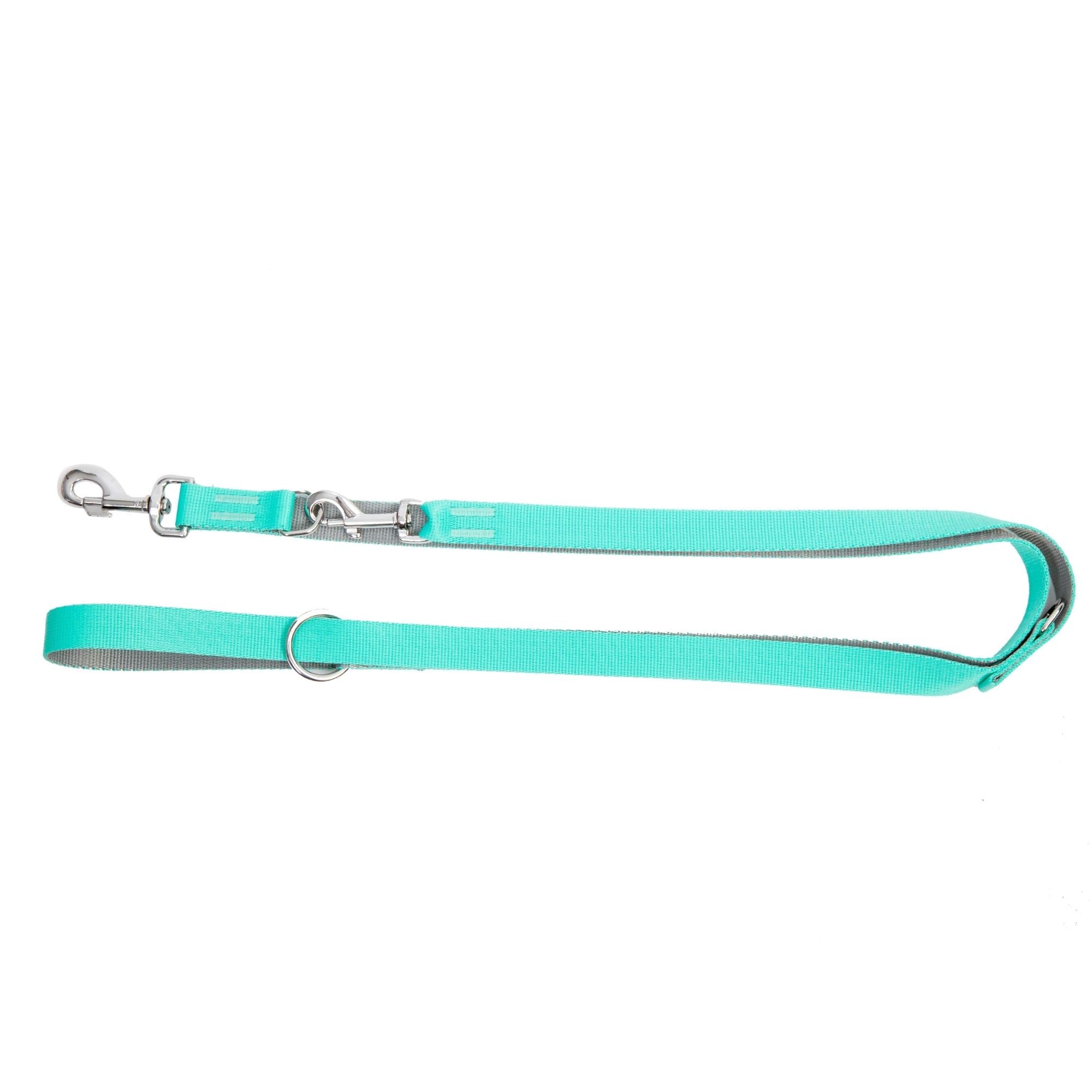 Dingo Dog Leash with Adjustment 220 cm Mint with Silver Contrast 14741