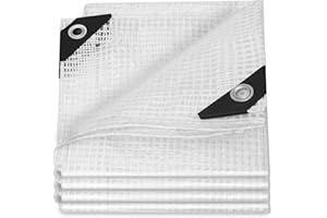 THOOUM 20Ftx30Ft Clear Greenhouse Plastic Covering, 16Mil Thickness Heavy Duty Clear tarp for Chicken coop, Greenhouse Plastic sheeting with Hemmed Edges & preinstalled Grommets.