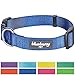 Blueberry Pet Essentials X-Small Dog Collar in Royal Blue | Adjustable & Eco-Friendly Durable Nylon Strap | Classic Collar for X-Small Dogs, Boy & Girl Pets