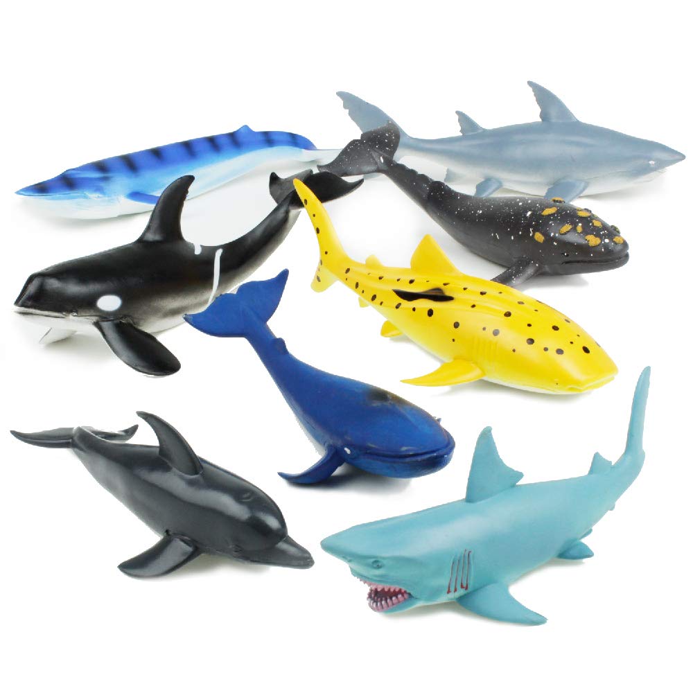 whale shark bath toy