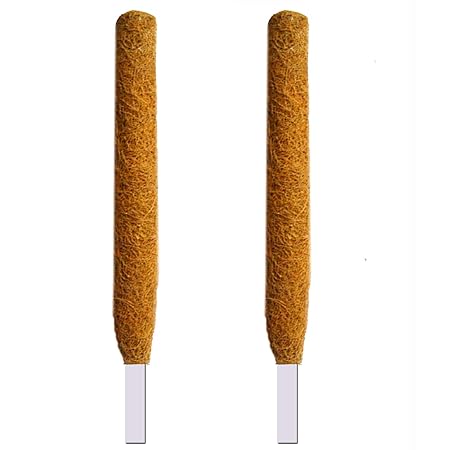 LIVEONCE - 3 feet Moss and Coir Stick for Indoor, House and Plant Creepers Support (Brown, 3 ft) -2 Pieces
