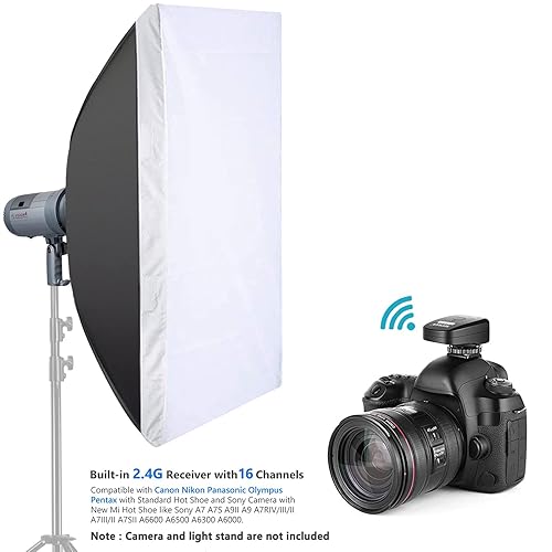 Neewer 600W Battery Powered Outdoor Studio Flash Strobe Lighting