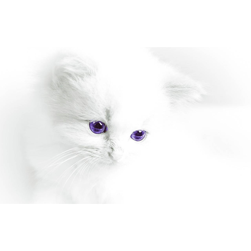 White Background Amazon Com Appstore For Android