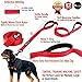 Primal Pet Gear Dog Leash 6ft Long,Traffic Padded Two Handle,Heavy Duty,Reflective Double Handles Lead for Control Safety Training,Leashes for Large Dogs or Medium Dogs,Dual Handles Leads(Red)