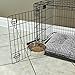 MidWest Homes for Pets Snap'y Fit Stainless Steel Food or Water Bowl, Holds 10 Ounces, Mounts to Wire Crates, No-Tip Design, Rust-Resistant, for Small Dogs and Cats