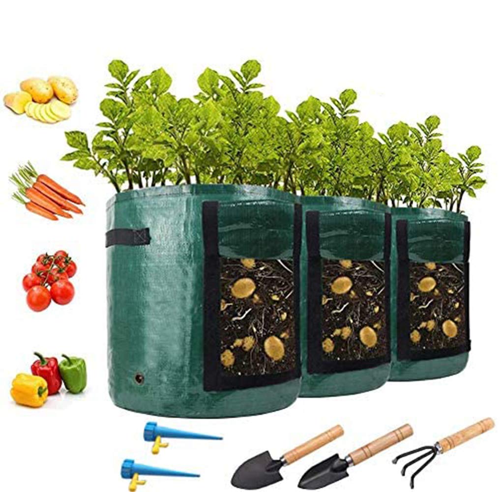 Ruiuzioong Potato Grow Bags, Garden Plant Grow Bags with Handles & Access Flap 3-Pack 7 Gallons for Vegetables, Fruits, Onion, Carrot, Home Grow Bag, Potatoes-Growing-Containers + 5 Tools (Green)