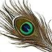 Blisstime Peacock Feathers 8