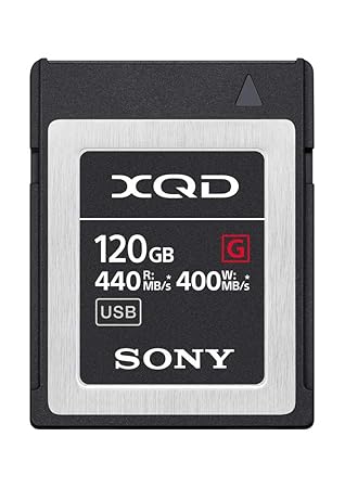 Sony QDG120F Flash-Speicherkarte (120 GB)