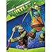 American Greetings Teenage Mutant Ninja Turtles Table Cover, 54