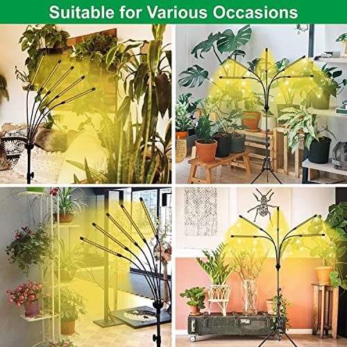 yentbokj - 5 Heads Adjustable LED Lights, Full Spectrum Grow Lamp with Timer, Warm White Light for Indoor Plants