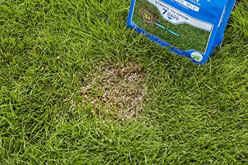 3 Scotts+Patch+Master+Lawn+Shade