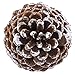Supla 10 PCS Natural Pinecones Medium Frosted Pine Cones Ornaments Real Preserved Pine Cones - Dried -3