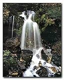 Waterfall and Stream in The Tropical Forest Scenery Art Print Poster (16x20)