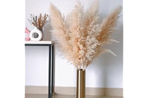 EASTERN ROCK Tall Pampas Grass 10pieces 43" Beige Natural Dried Pampas Grass Country Wedding Decor Large Fluffy Dried Flower (10)