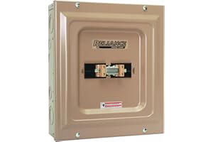 Reliance Controls TCA0606D Panel/Link Transfer Panel (60A/60A)