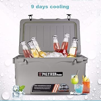 ZLL Nevera personal-nevera para auto-70L - Congelador sin ...