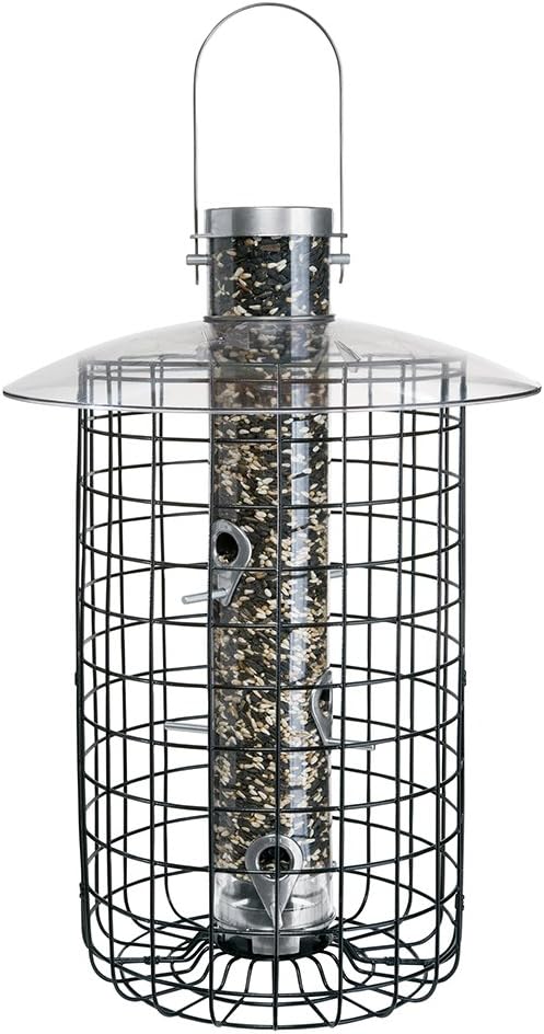 Amazon Com Droll Yankees Domed Cage Sunflower Seed Bird Feeder