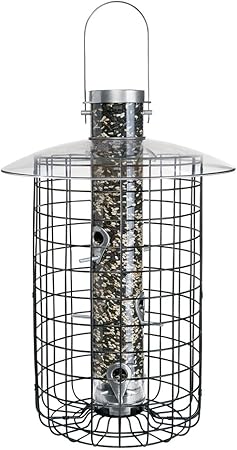 Amazon Com Droll Yankees Domed Cage Sunflower Seed Bird Feeder