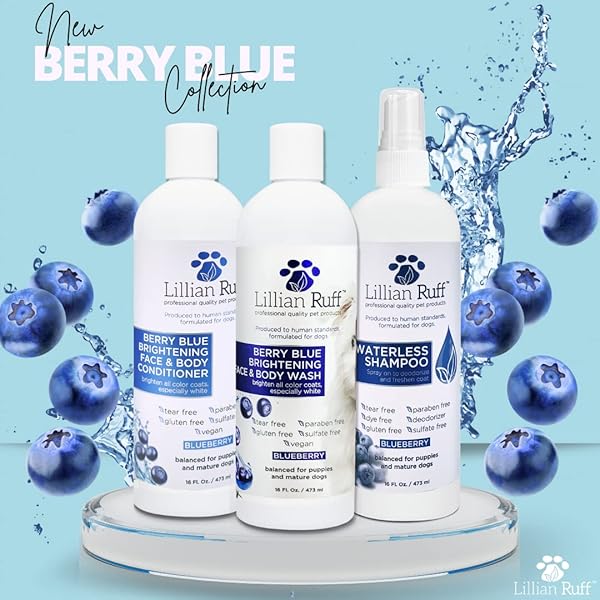 LILLIAN RUFF BERRY BLUE BRIGHTENING FACE AND BODY WASH FOR DOGS – BLUEBERRY SHAMPOO – REMOVE TEAR STAINS, HYDRATE DRY ITCHY SKIN, ADD SHINE & LUSTER TO COATS (BERRY BLUE SHAMPOO 16OZ)