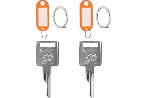 FEMORY D250 Ignition Keys 6693241 6709527 A77313 307852A1 714602 Replacement for Bobcat Skid Steer Loader A220 A300 T110 T140 T180 T190 T200 T250 T300 T320 T450 T550 S100 S130 S150(2-Pack)