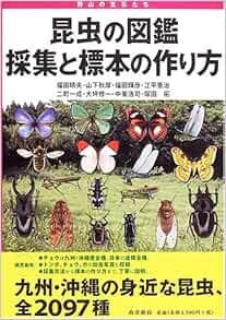 昆虫の図鑑採集と標本の作り方 野山の宝石たち Amazon Com Books