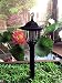 Solar Powered Electric Bug Light Zapper- Outdoor Cordless Flying Insect Killer- 8 Hour Operation- Beautiful Garden Lamp- Portable LED Machine- Best Stinger for Mosquitoes/Moths/Flies & More (Black) primary