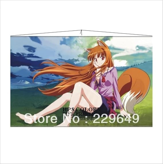 Amazon Com Anime Family Manga Spice And Wolf Anime Figure Wall Scroll Poster Hanging Picture Decorative On Wall Fine Printing Cosplay Posters Prints