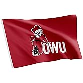 Desert Cactus Ohio Wesleyan University OWU Flag - 3 x 5 Feet Battling Bishop Banner, Indoor/Outdoor Durable Fabric, 100% Polyester Design (Style 1)