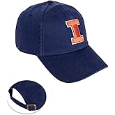 Desert Cactus University of Illinois Baseball Hat Fighting Illini Brimmed Embroidered Hats Cap Adjustable Cloth Strap Type A